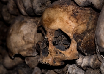 Paris Catacombs